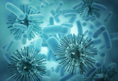 1512116758127976.jpg 下載 (6).jpg